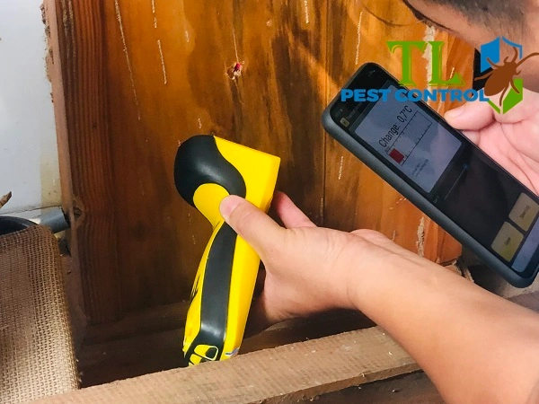 cách diệt mối làm tổ trong nhà