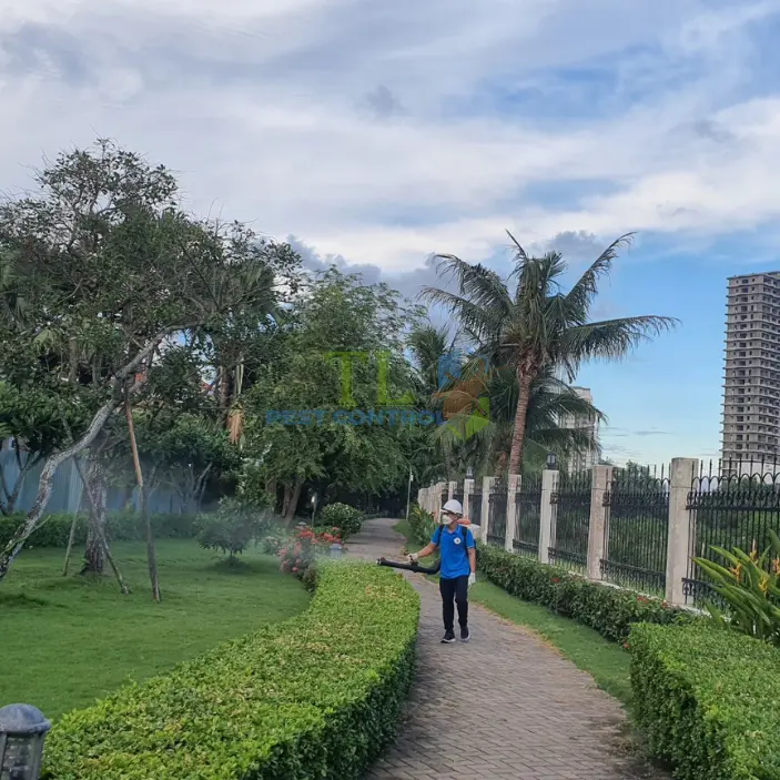 Diệt mối tại Huyện Cần Giờ