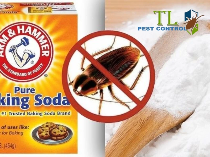 diệt gián bằng baking soda