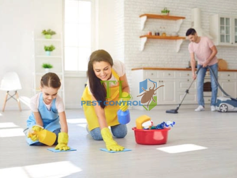 cách đuổi ruồi ra khỏi phòng ngủ