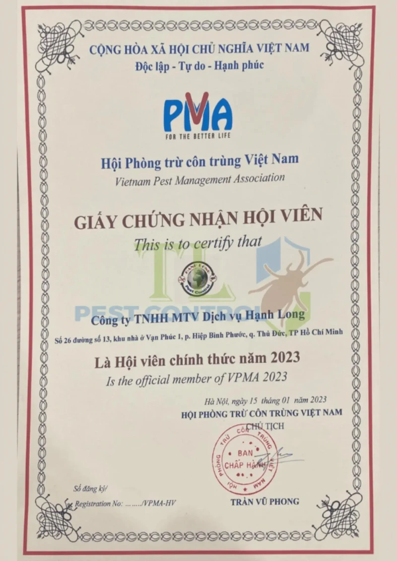 diệt mối giá rẻ