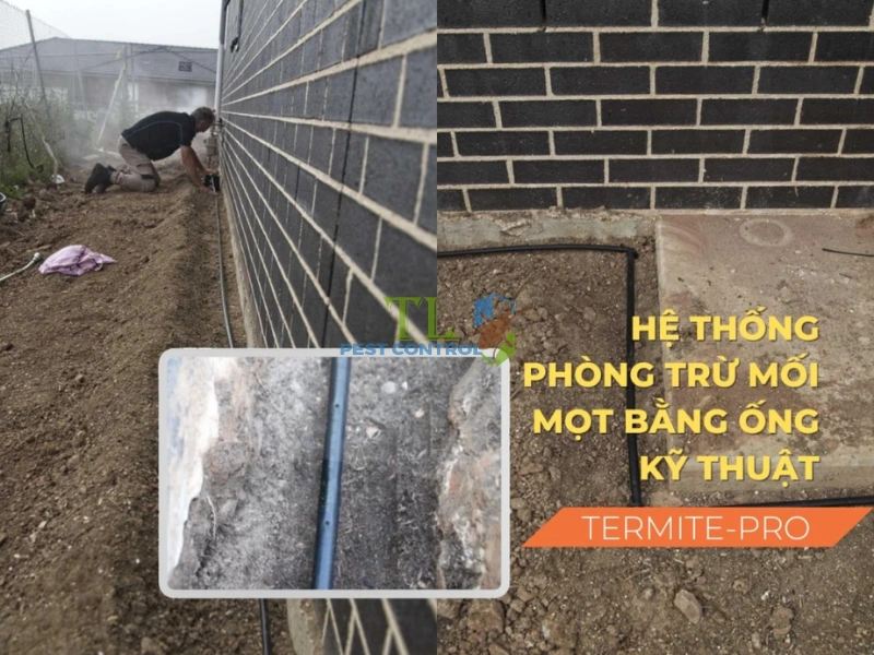 Hệ thống chống mối Termite-pro