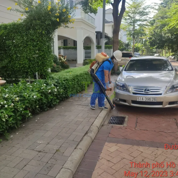 Diệt muỗi quận Tân Phú