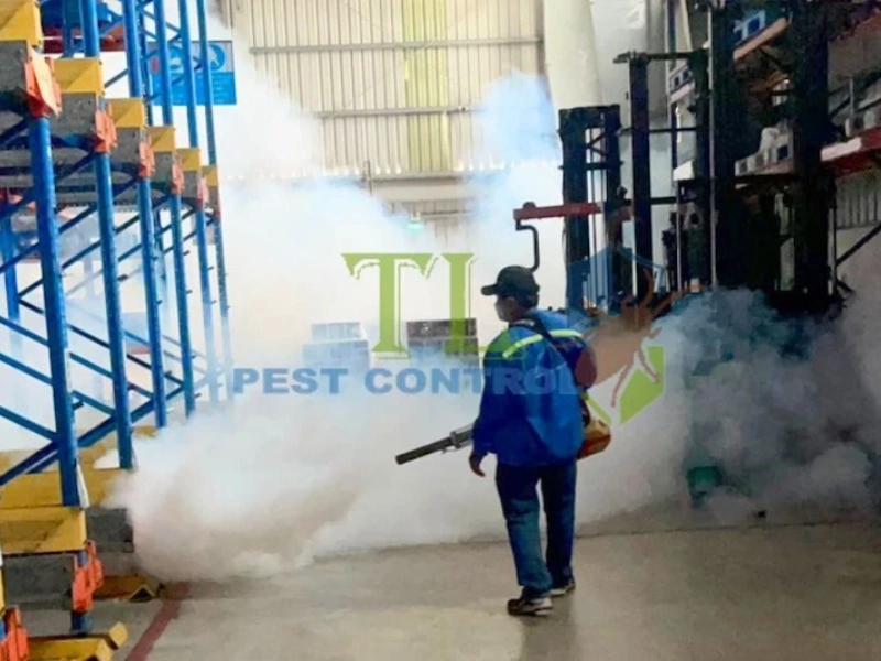 dịch vụ phun muỗi tại nhà