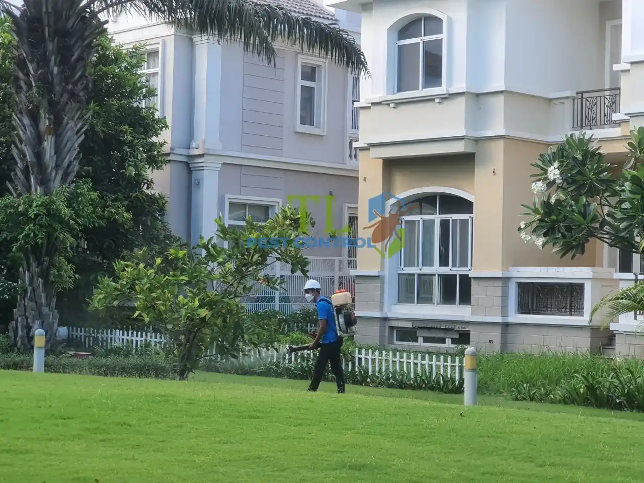 dịch vụ diệt mối quận 3