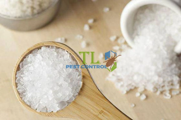 cách diệt gián bằng phèn chua
