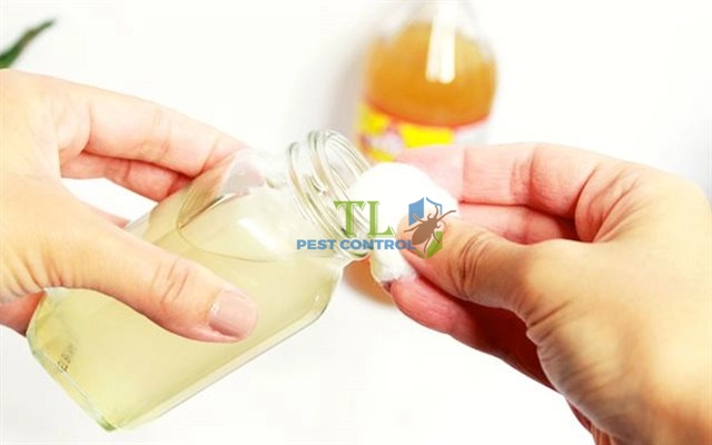 cách diệt chuột phá rau