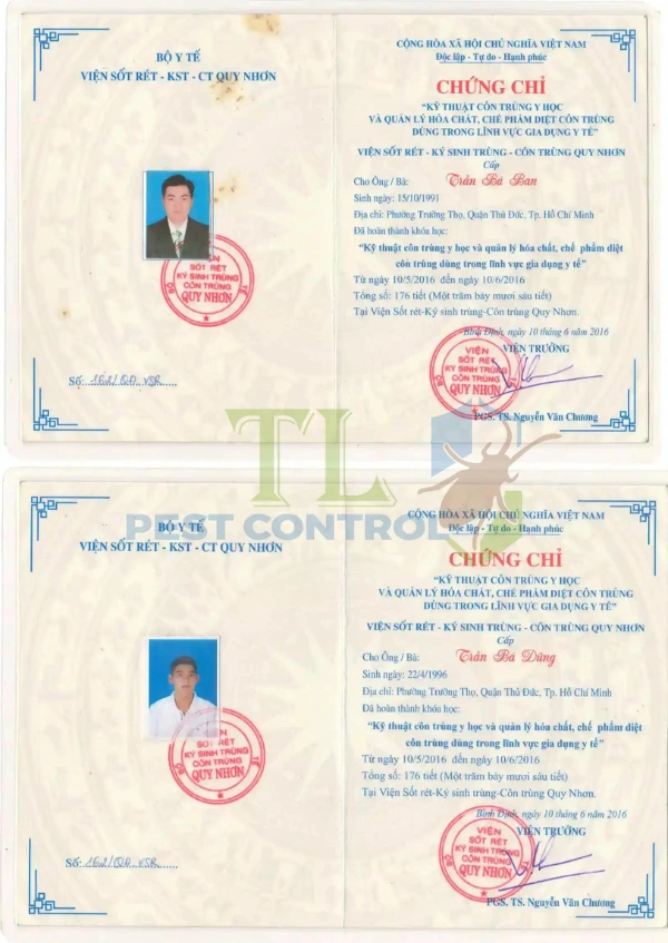 Dịch vụ diệt kiến ba khoang