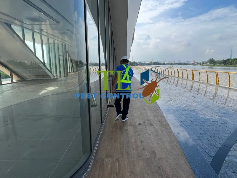 diệt côn trùng tại vũng tàu