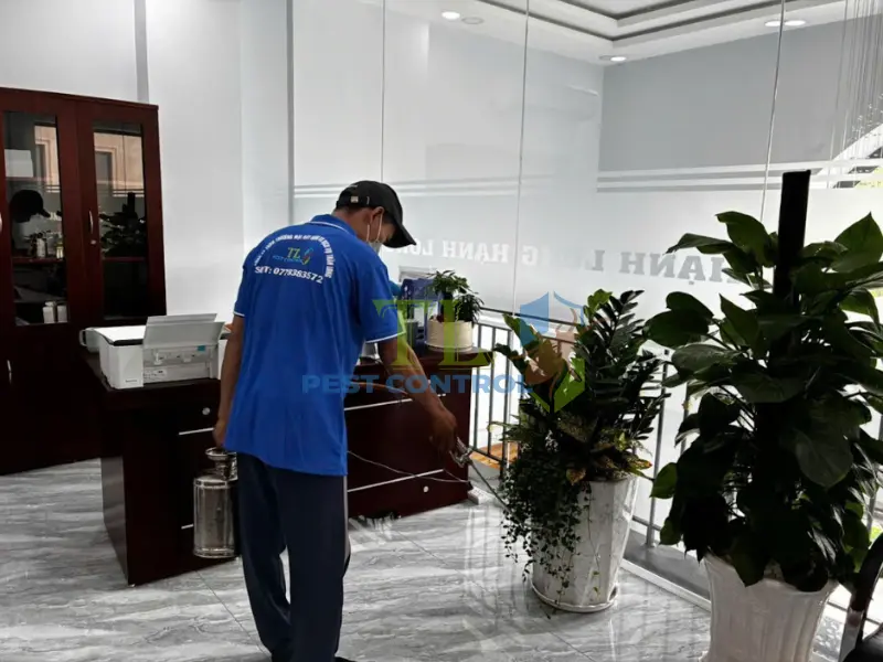 Tham khảo thêm các dịch vụ diệt mối Trần Long chi nhánh lân cận