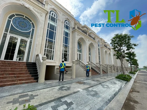 diệt muỗi quận 9