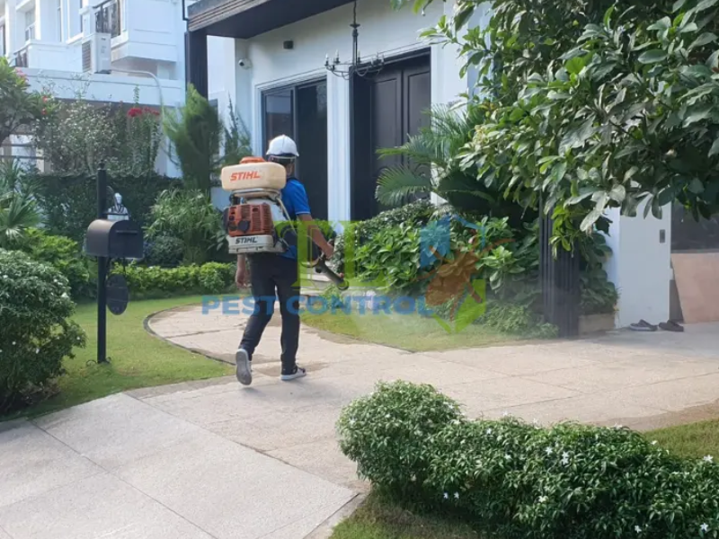 Hướng dẫn sử dụng thuốc diệt muỗi đúng cách để tối ưu hiệu quả và an toàn