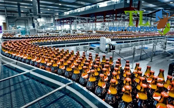 kiểm soát côn trùng nhà máy thực phẩm