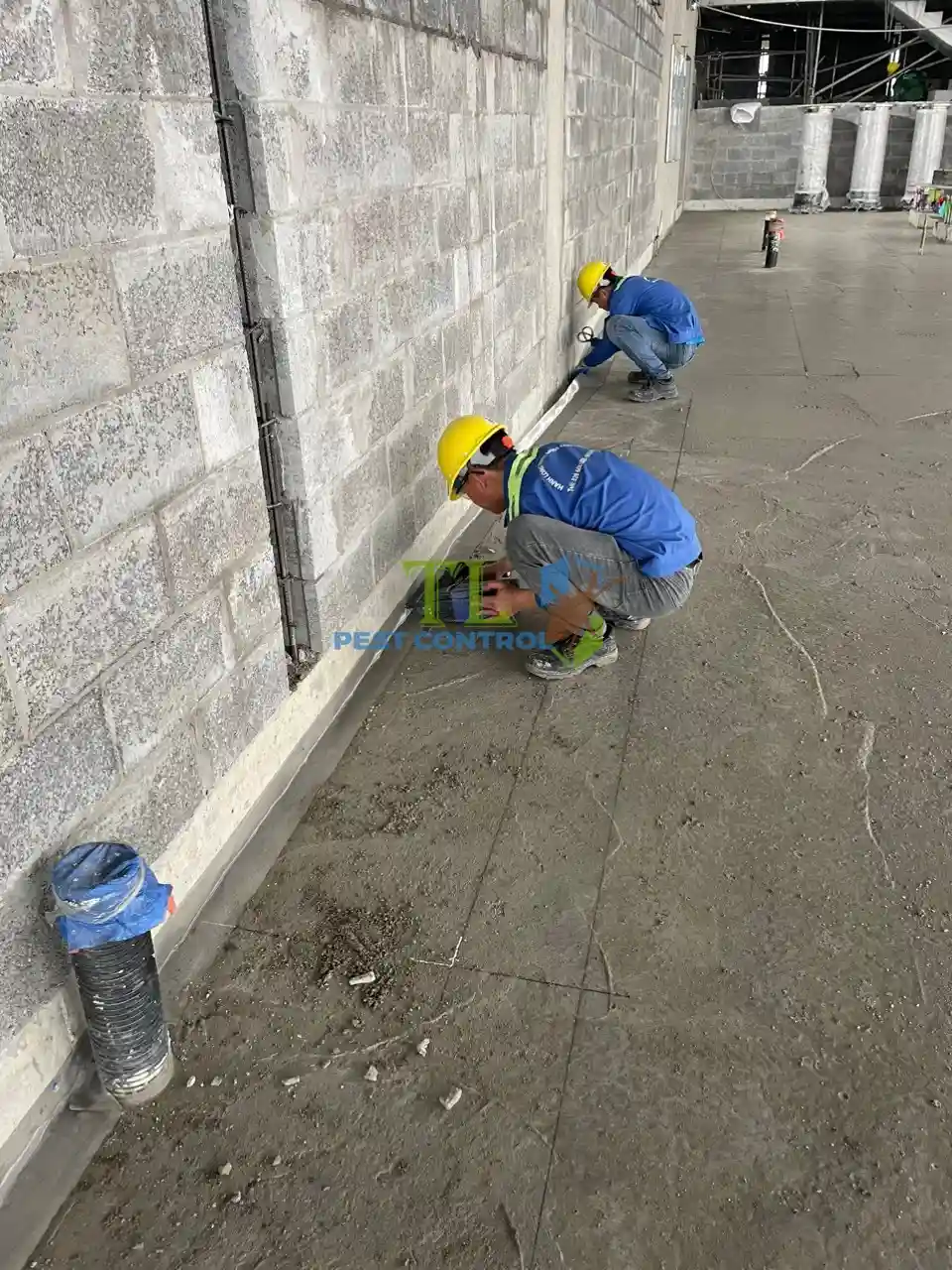 lưới thép không gỉ Termsteel