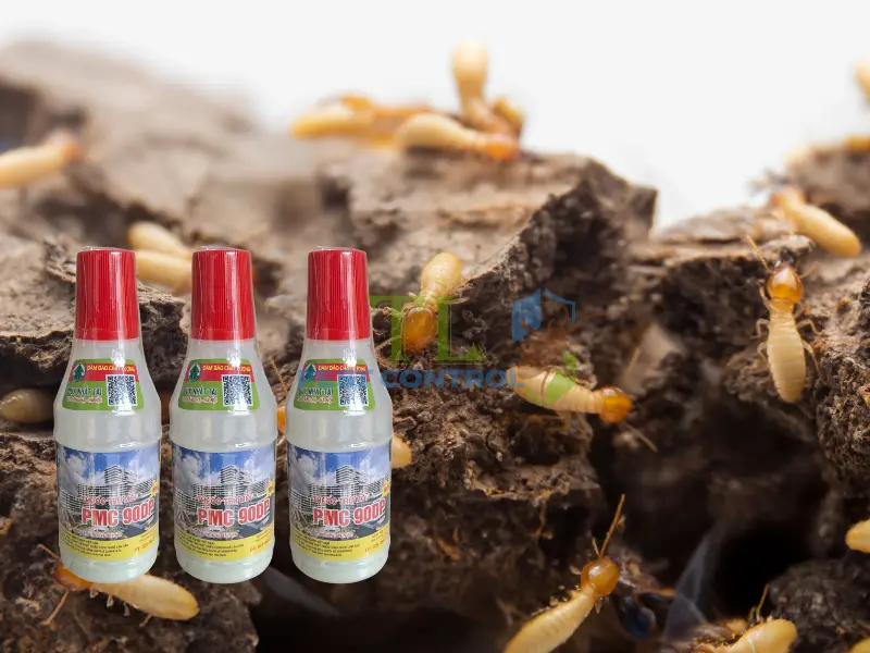  Diệt mối bằng hộp nhử kết hợp hóa chất sinh học PMC 90
