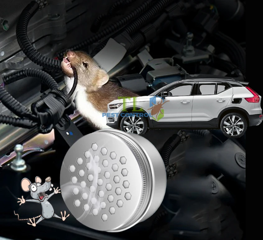 cách diệt chuột trong xe hơi