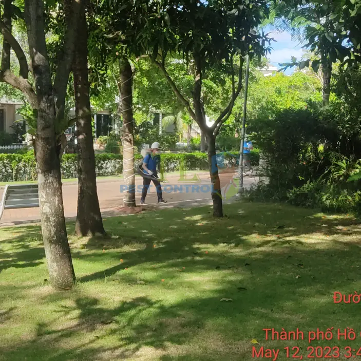 Diệt muỗi quận Bình Tân