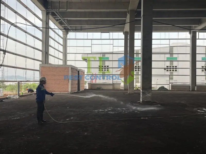 Báo giá dịch vụ diệt mối Trần Long chi tiết và minh bạch
