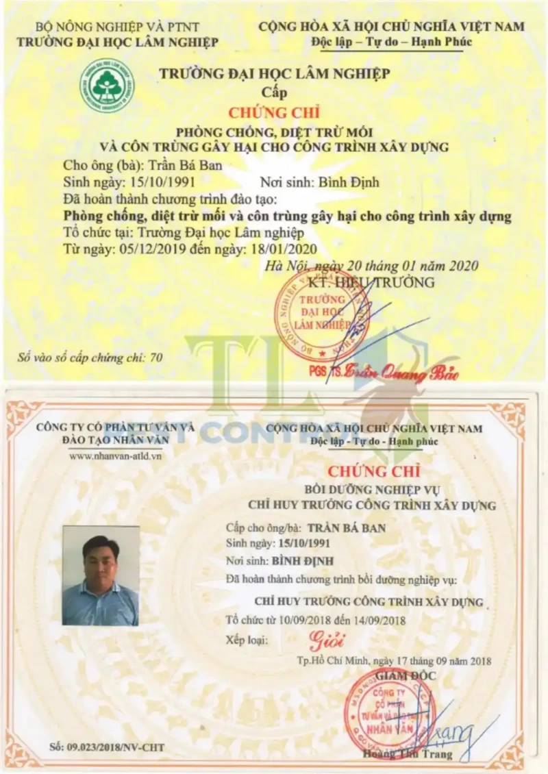 diệt mối cho quán cà phê