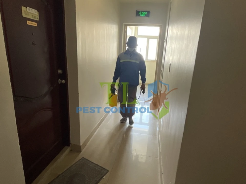 Cam kết chất lượng và địa chỉ liên hệ diệt mối Trần Long tại phường Đông Hưng Thuận