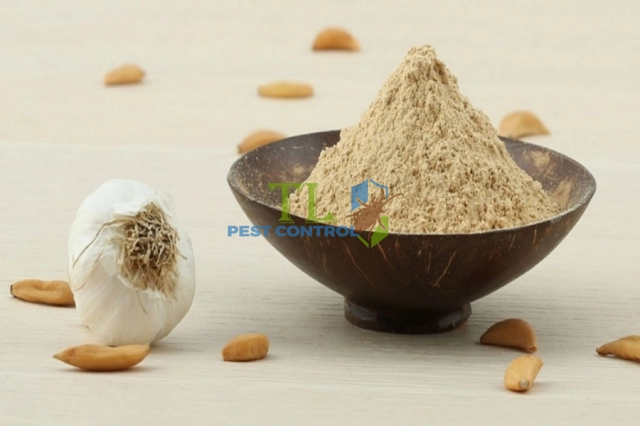cách đuổi ong bắp cày