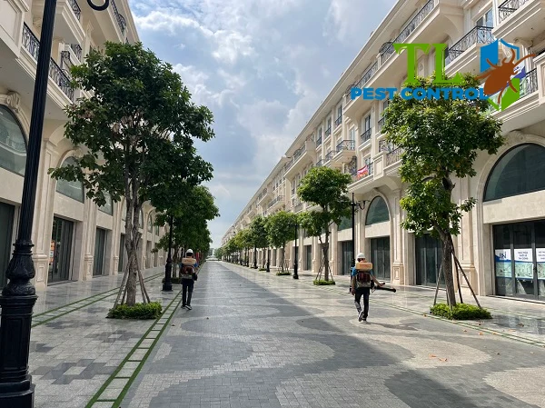 diệt muỗi quận 8
