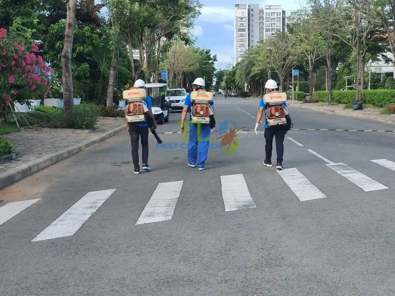 diệt mối tại quận 6