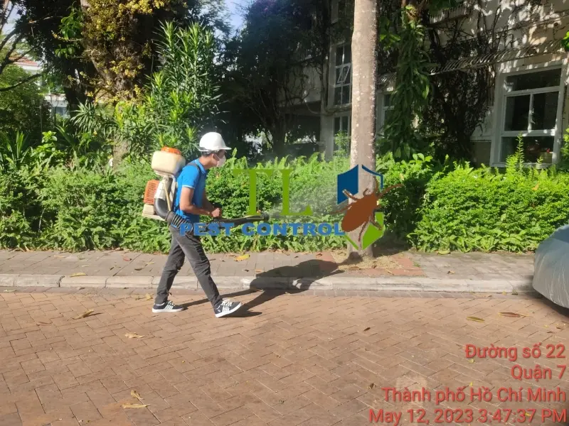 diệt côn trùng đồng nai