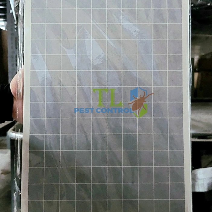 media_image1
