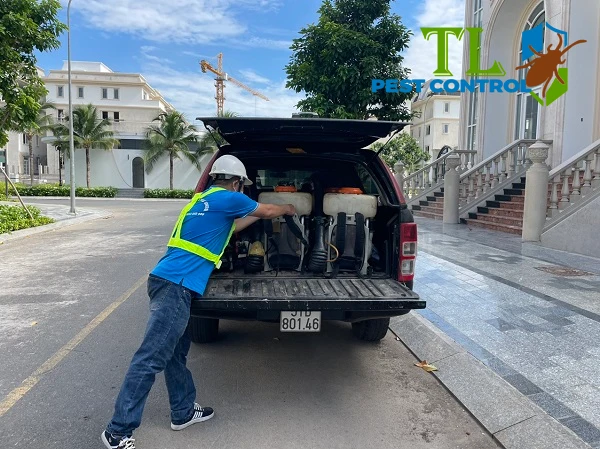 cách diệt mối làm tổ trong nhà