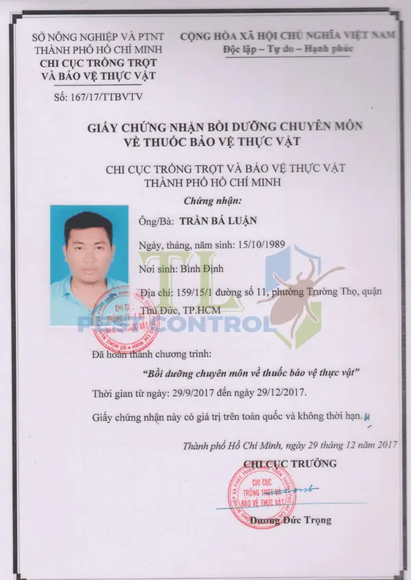 Dịch vụ diệt chuột