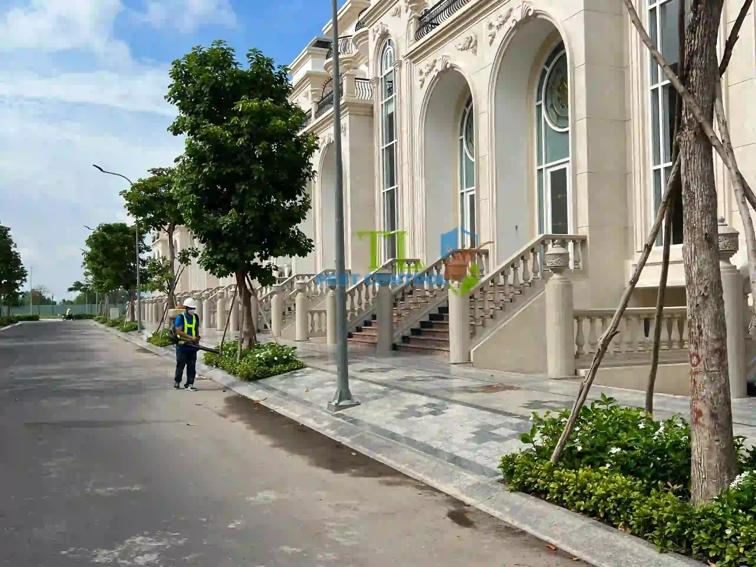 địa chỉ diệt mối uy tín