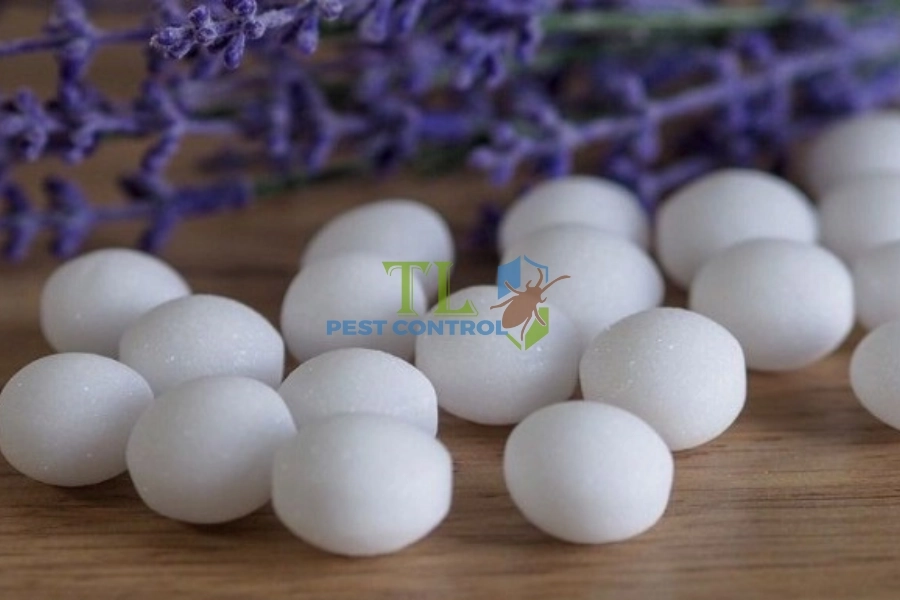 Các Cách Trị Ruồi Vàng Trên Lan Hiệu Quả, Chi Tiết Tại Nhà