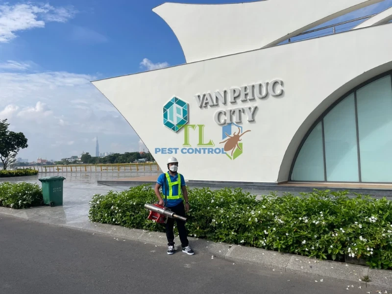 diệt mối quận 2