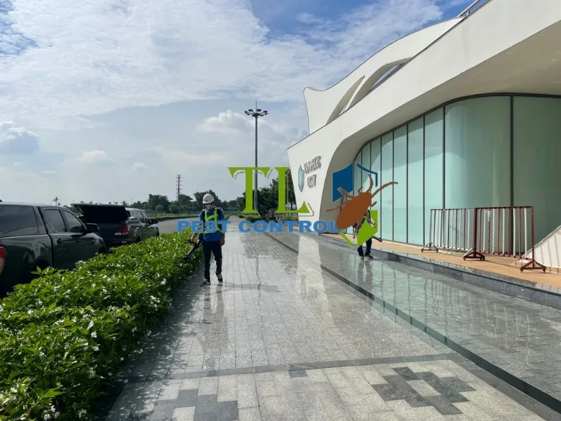 diệt côn trùng đồng nai