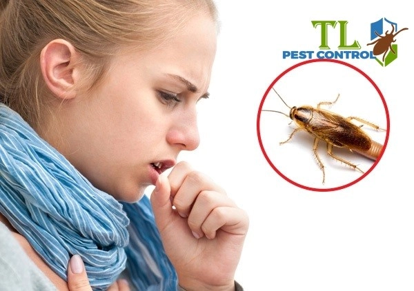 dịch vụ diệt gián đức