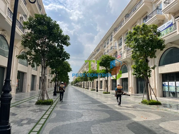 diệt muỗi quận 3