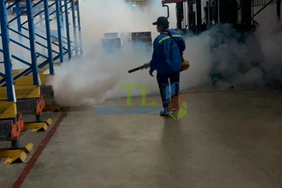 Thời điểm thích hợp để cần đến dịch vụ diệt muỗi chuyên nghiệp 