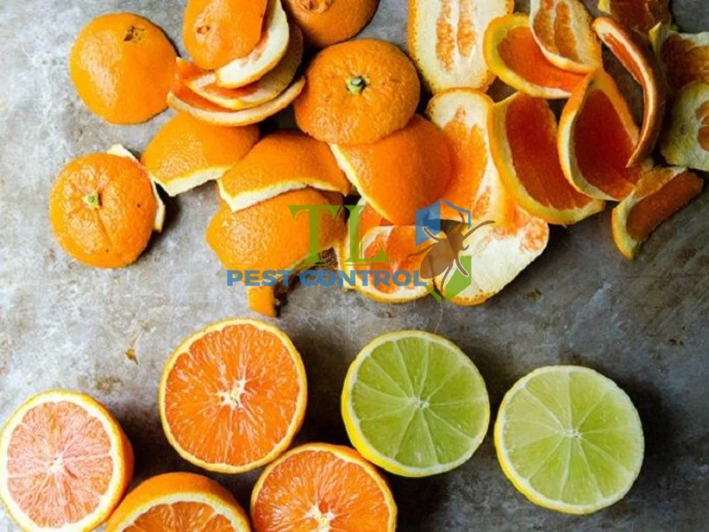 mùi hương đuổi kiến