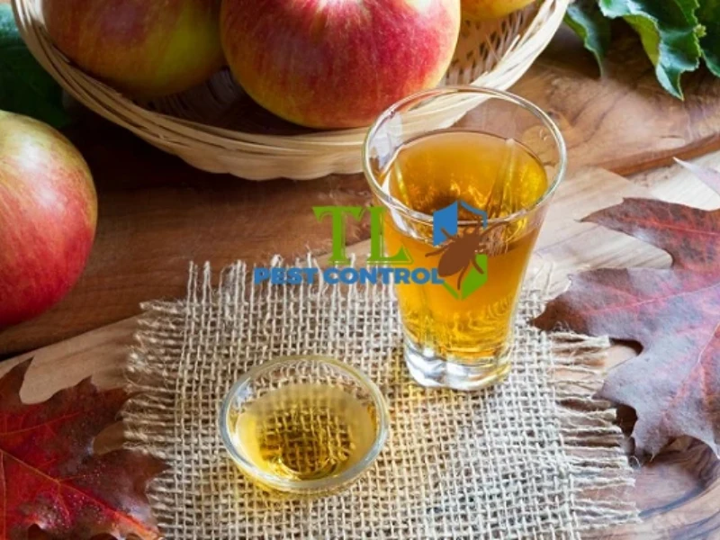 cách đuổi ruồi trong phòng ngủ