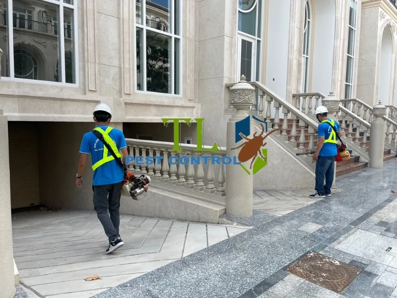 dịch vụ diệt côn trùng bình dương