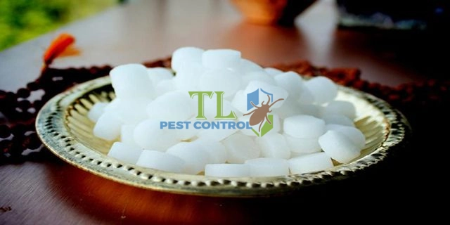 cách đuổi ong bắp cày