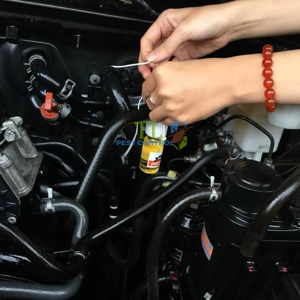 cách diệt chuột trong xe hơi