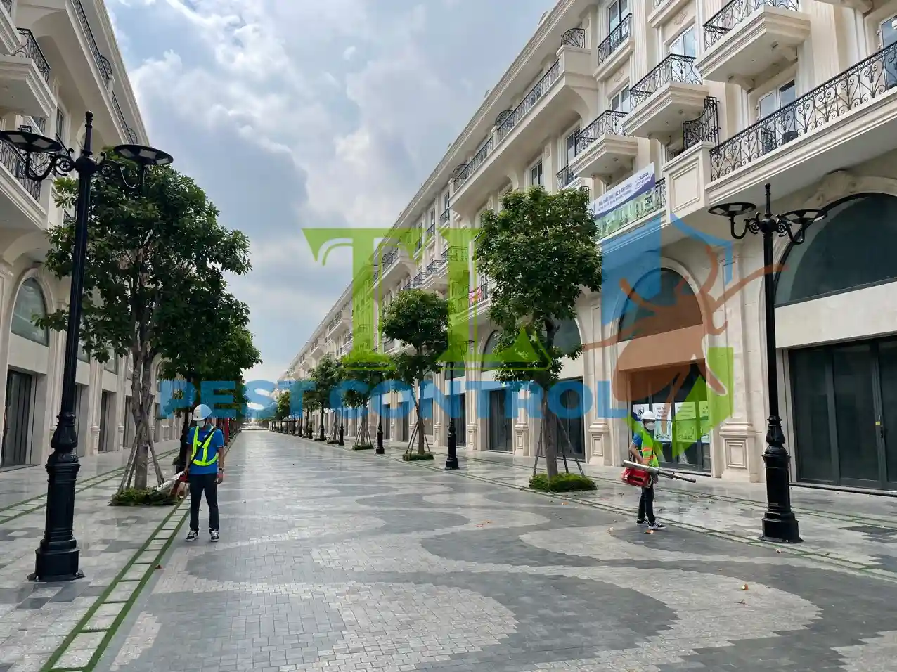 công ty diệt mối