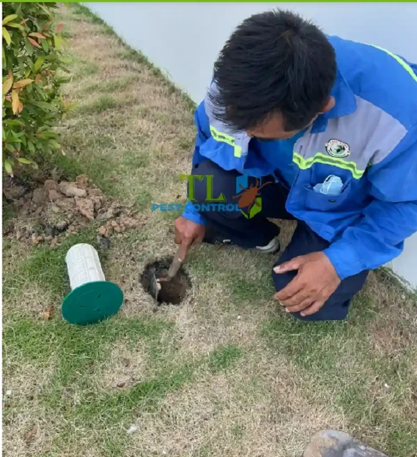 bản vẽ biện pháp thi công chống mối