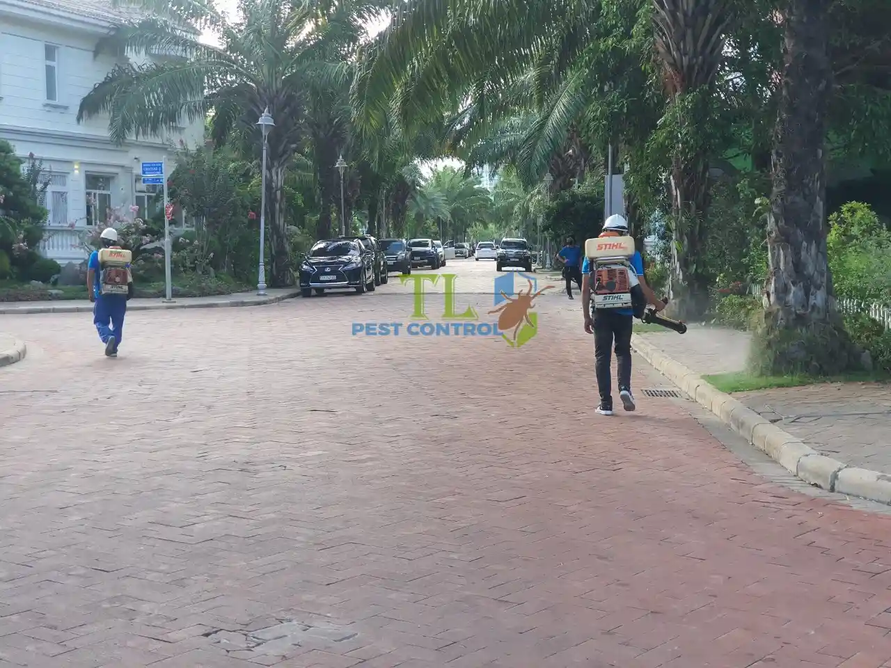 diệt mối tại quận 6
