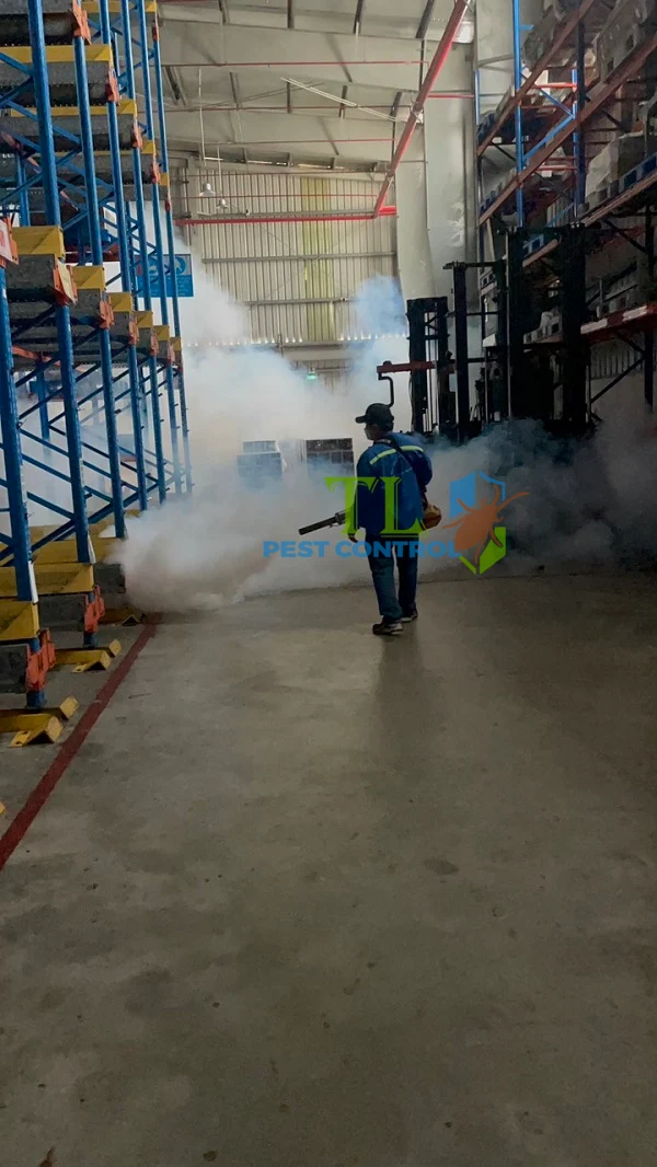 diệt muỗi quận 2