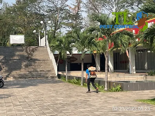 diệt muỗi quận 8