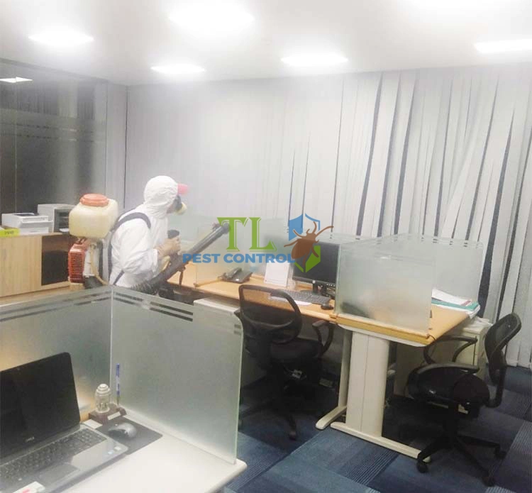 diệt muỗi cho công ty