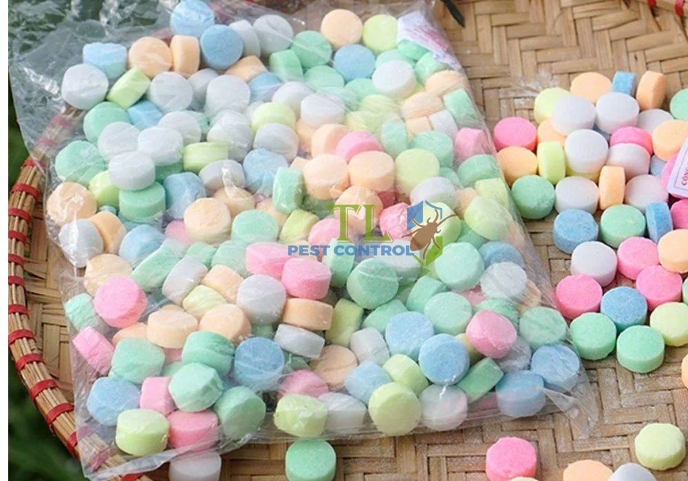 cách diệt ve chó trong nhà